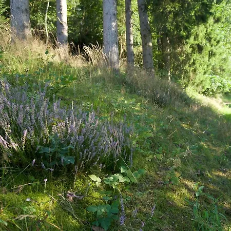 Happy Place Mit Sauna, Garten Und Viel Platz Fuer Familien